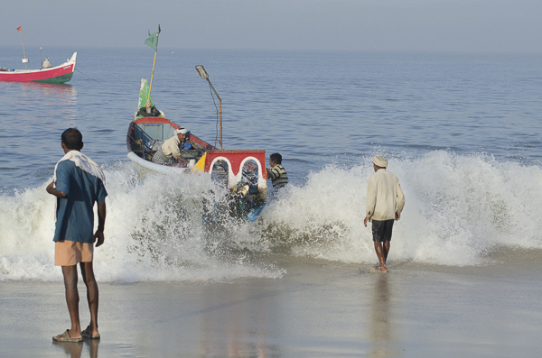 Kerela’s fisheries: Times, they are a changing - Documentary Storytellers